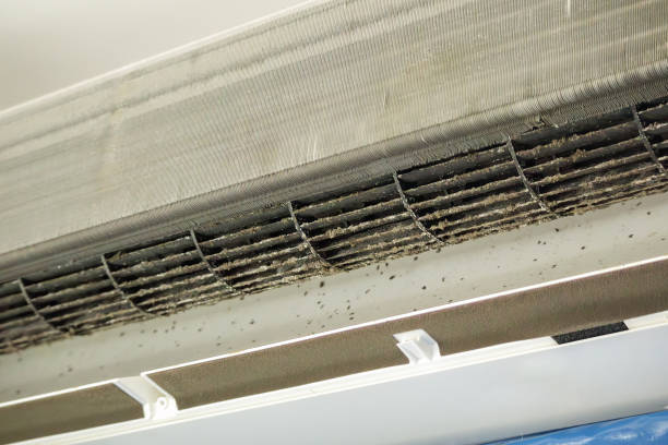 Best Home Air Vent Cleaning  in Longview, WA
